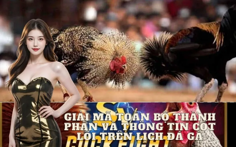 Giải Mã Toàn Bộ Thành Phần và Thông Tin Cốt Lõi Trên Lịch Đá Gà