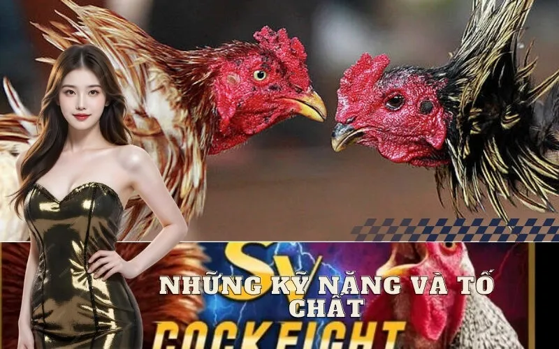 Những Kỹ Năng và Tố Chất